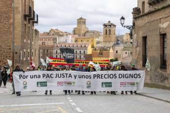 Fotogalería Manifestación Sector Primario en Segovia 7 Manifestacion Agricultores en Segovia