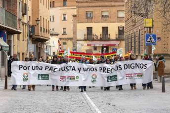 Fotogalería Manifestación Sector Primario en Segovia 43 Manifestacion Agricultores en Segovia