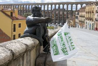 Fotogalería Manifestación Sector Primario en Segovia 28 Manifestacion Agricultores en Segovia