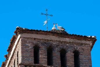 Fotogalería Santa Águeda en Barrio San Lorenzo 65 Santa Águeda en Barrio San Lorenzo