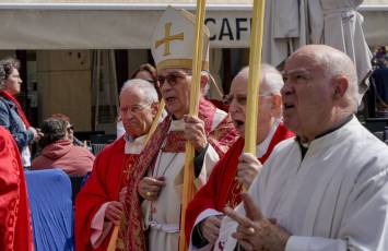 Fotogalería Domingo de Ramos 52 Procesión Domingo de Ramos