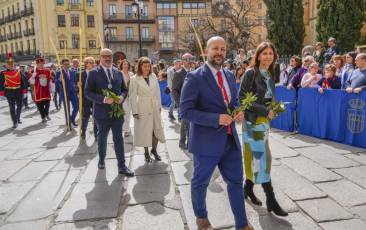 Fotogalería Domingo de Ramos 66 Procesión Domingo de Ramos