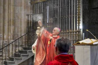Fotogalería Domingo de Ramos 13 Procesión Domingo de Ramos