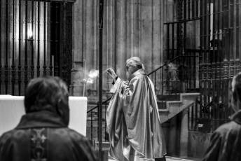 Fotogalería Domingo de Ramos 19 Procesión Domingo de Ramos