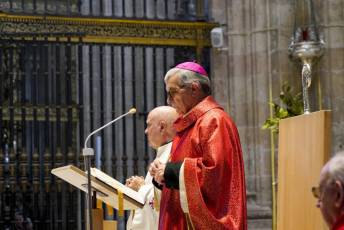 Fotogalería Domingo de Ramos 14 Procesión Domingo de Ramos