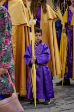 Fotogalería Domingo de Ramos 56 Procesión Domingo de Ramos
