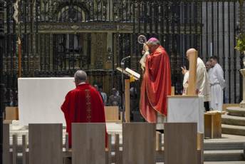 Fotogalería Domingo de Ramos 27 Procesión Domingo de Ramos