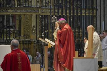 Fotogalería Domingo de Ramos 8 Procesión Domingo de Ramos