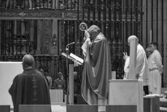 Fotogalería Domingo de Ramos 51 Procesión Domingo de Ramos