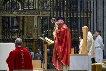 Fotogalería Domingo de Ramos 45 Procesión Domingo de Ramos