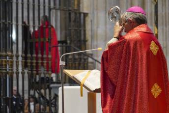 Fotogalería Domingo de Ramos 16 Procesión Domingo de Ramos