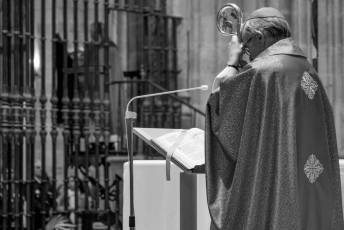 Fotogalería Domingo de Ramos 65 Procesión Domingo de Ramos