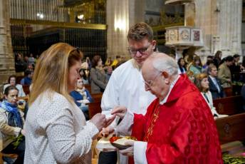 Fotogalería Domingo de Ramos 63 Procesión Domingo de Ramos