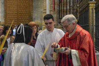 Fotogalería Domingo de Ramos 21 Procesión Domingo de Ramos
