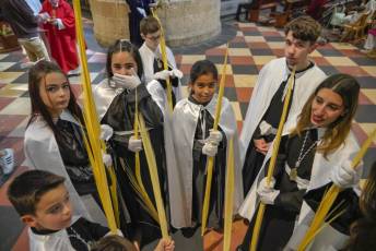 Fotogalería Domingo de Ramos 29 Procesión Domingo de Ramos