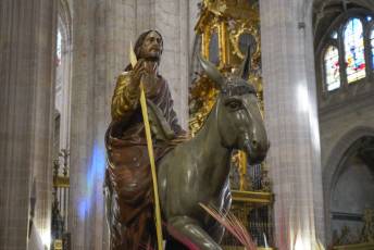 Fotogalería Domingo de Ramos 62 Procesión Domingo de Ramos