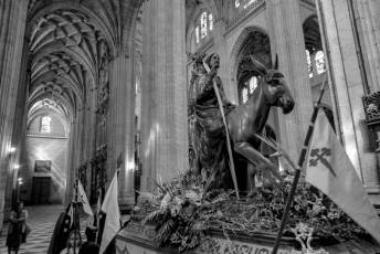 Fotogalería Domingo de Ramos 68 Procesión Domingo de Ramos