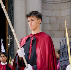 Fotogalería Domingo de Ramos 48 Procesión Domingo de Ramos