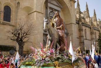 Fotogalería Domingo de Ramos 40 Procesión Domingo de Ramos