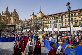 Fotogalería Domingo de Ramos 47 Procesión Domingo de Ramos