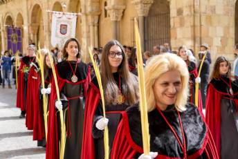 Fotogalería Domingo de Ramos 44 Procesión Domingo de Ramos