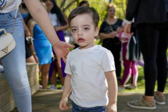 Fotogalería Día Internacional del Pueblo Gitano 5 Día Internacional del Pueblo Gitano