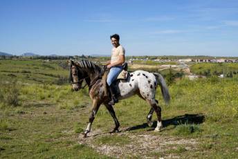 Fotogalería Concentración Caballistas en Palazuelos de Eresma 62 Feria de Abril Concentración de Caballos en Palazuelos