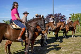 Fotogalería Concentración Caballistas en Palazuelos de Eresma 16 Feria de Abril Concentración de Caballos en Palazuelos