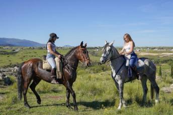 Fotogalería Concentración Caballistas en Palazuelos de Eresma 48 Feria de Abril Concentración de Caballos en Palazuelos