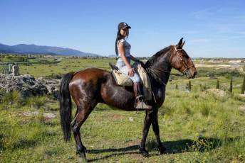 Fotogalería Concentración Caballistas en Palazuelos de Eresma 54 Feria de Abril Concentración de Caballos en Palazuelos