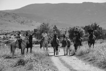 Fotogalería Concentración Caballistas en Palazuelos de Eresma 58 Feria de Abril Concentración de Caballos en Palazuelos