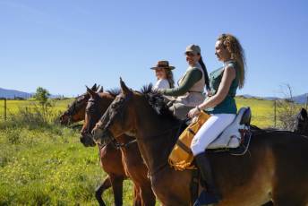Fotogalería Concentración Caballistas en Palazuelos de Eresma 4 Feria de Abril Concentración de Caballos en Palazuelos