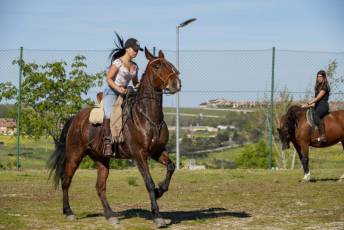Fotogalería Concentración Caballistas en Palazuelos de Eresma 49 Feria de Abril Concentración de Caballos en Palazuelos