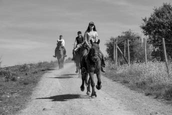 Fotogalería Concentración Caballistas en Palazuelos de Eresma 43 Feria de Abril Concentración de Caballos en Palazuelos