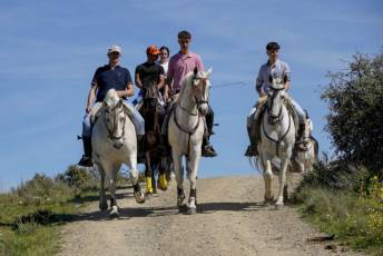 Fotogalería Concentración Caballistas en Palazuelos de Eresma 65 Feria de Abril Concentración de Caballos en Palazuelos
