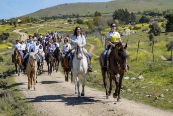 Fotogalería Concentración Caballistas en Palazuelos de Eresma 24 Feria de Abril Concentración de Caballos en Palazuelos