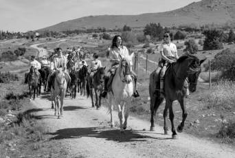 Fotogalería Concentración Caballistas en Palazuelos de Eresma 34 Feria de Abril Concentración de Caballos en Palazuelos