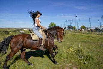 Fotogalería Concentración Caballistas en Palazuelos de Eresma 59 Feria de Abril Concentración de Caballos en Palazuelos