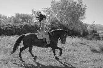 Fotogalería Concentración Caballistas en Palazuelos de Eresma 15 Feria de Abril Concentración de Caballos en Palazuelos