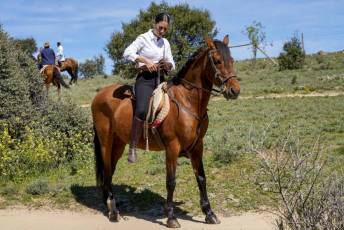 Fotogalería Concentración Caballistas en Palazuelos de Eresma 46 Feria de Abril Concentración de Caballos en Palazuelos