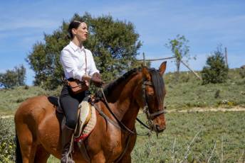 Fotogalería Concentración Caballistas en Palazuelos de Eresma 57 Feria de Abril Concentración de Caballos en Palazuelos