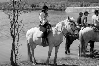 Fotogalería Concentración Caballistas en Palazuelos de Eresma 55 Feria de Abril Concentración de Caballos en Palazuelos