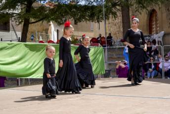 Fotogalería Feria de Abril en Valverde del Majano 14 Feria de Abril Valverde del Majano
