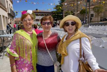 Fotogalería Feria de Abril en Valverde del Majano 12 Feria de Abril Valverde del Majano