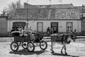Fotogalería Feria de Abril en Carbonero el Mayor 4 Feria de Abril en Carbonero el Mayor
