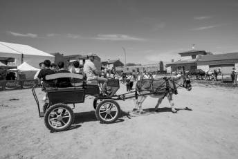 Fotogalería Feria de Abril en Carbonero el Mayor 21 Feria de Abril en Carbonero el Mayor
