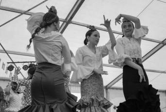 Fotogalería Feria de Abril en Carbonero el Mayor 12 Feria de Abril en Carbonero el Mayor