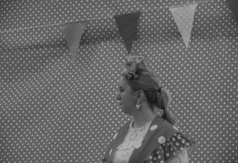 Fotogalería Feria de Abril en Carbonero el Mayor 8 Feria de Abril en Carbonero el Mayor