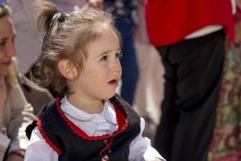 Fotogalería Fiestas de San José en Hontanares de Eresma 73 Fiestas San José Hontanares de Eresma