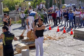 Fotogalería XVI Media Maratón Ciudad de Segovia 104 Media Maraton Ciudad de Segovia